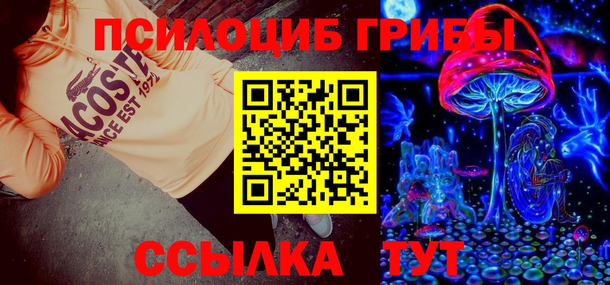 закладка  Псилоцибиновые грибы мухоморы  Вход с VPN  Спасск-Дальний 